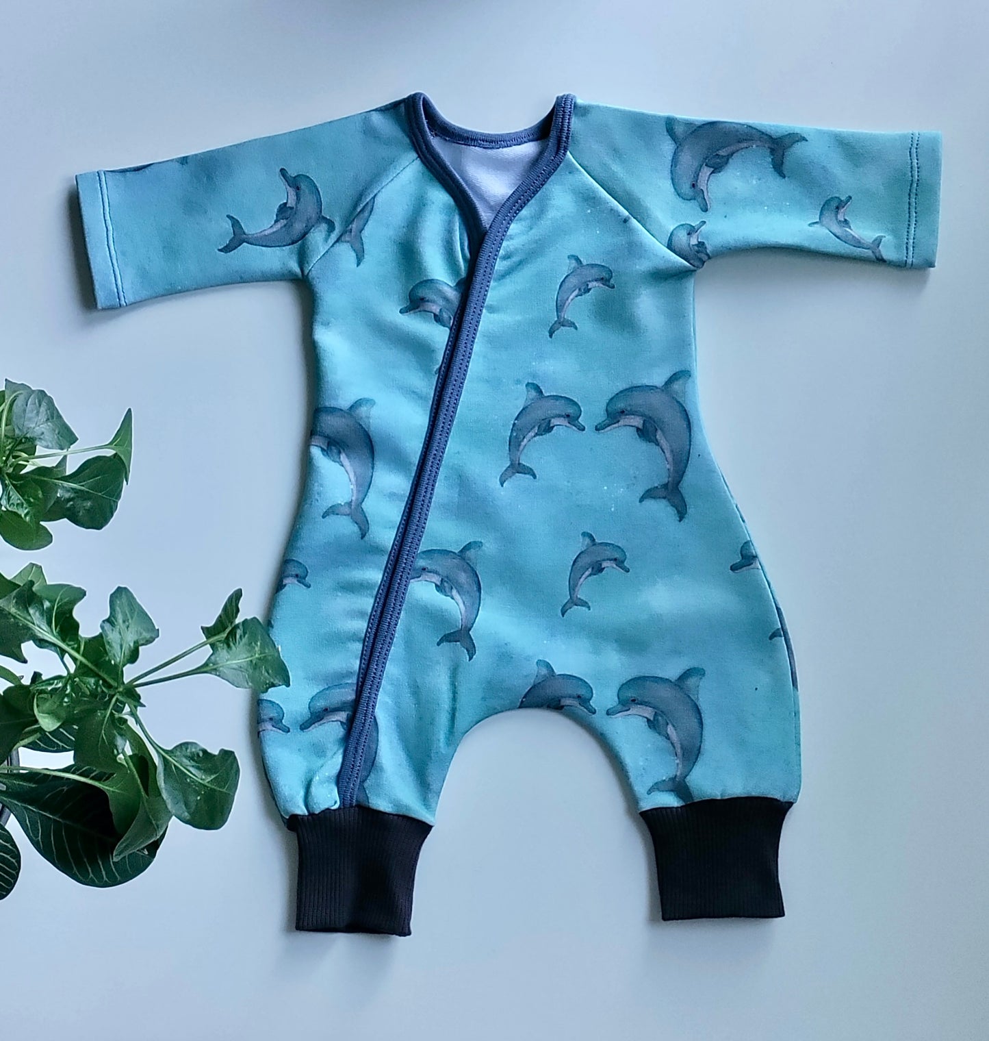 PALA Delfiinit, joustocollege