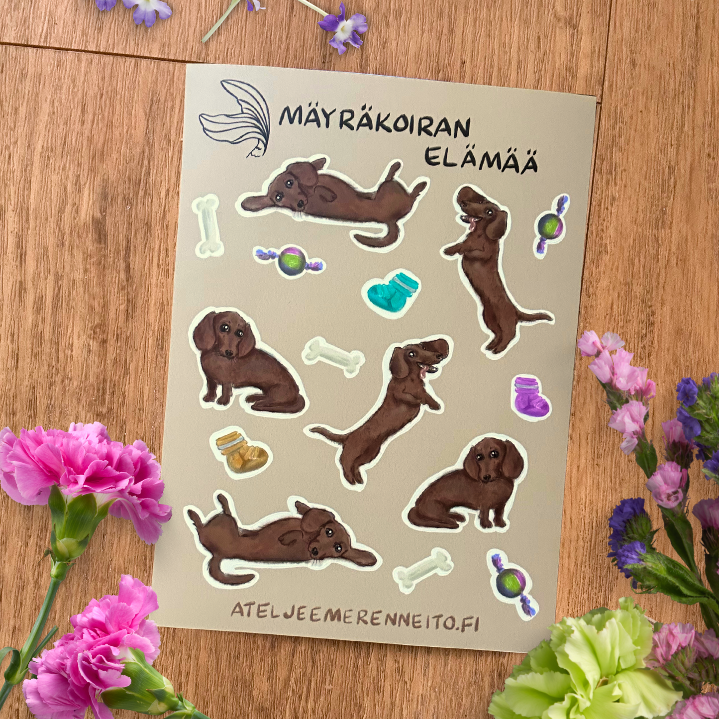Tarra-arkki, Mäyräkoiran elämää