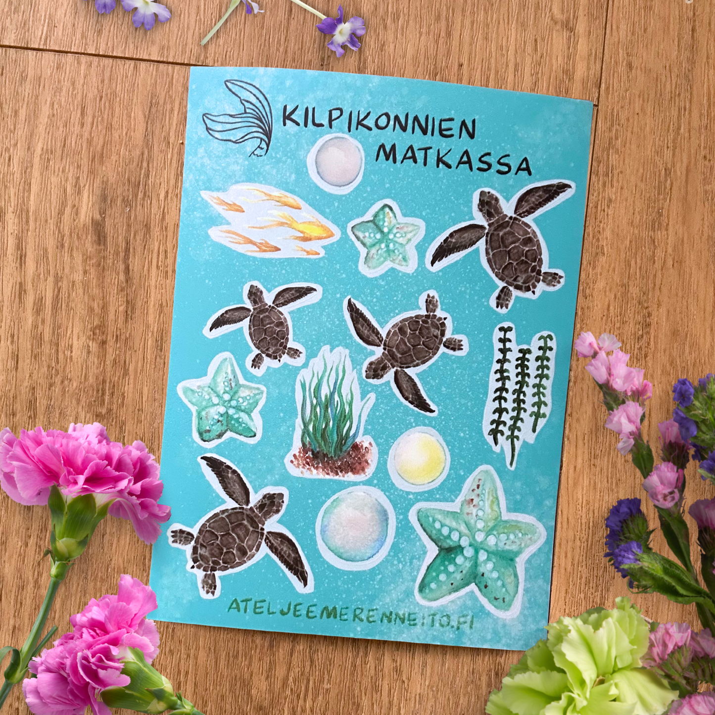 Tarra-arkki, Kilpikonnien matkassa