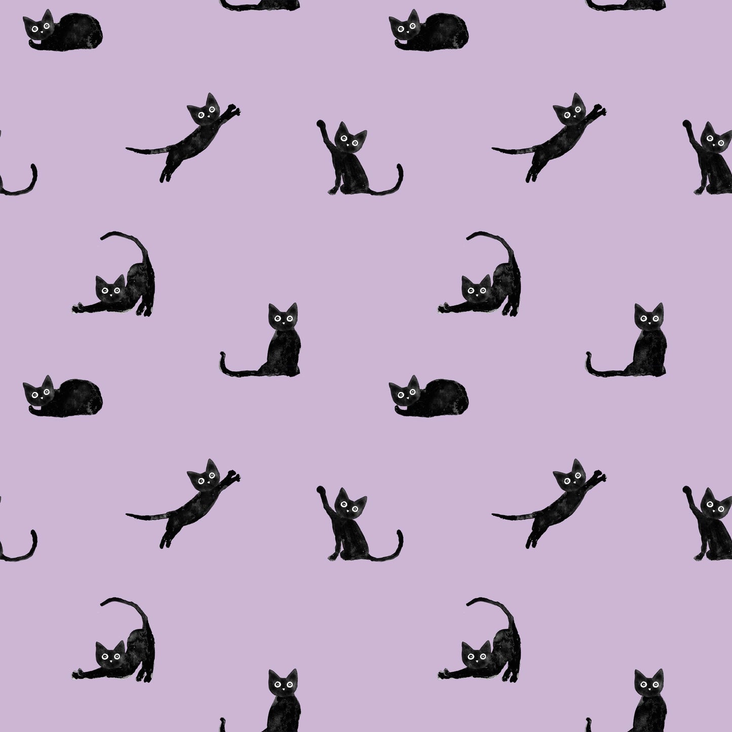 Mustan kissan tango (laventeli), joustocollege