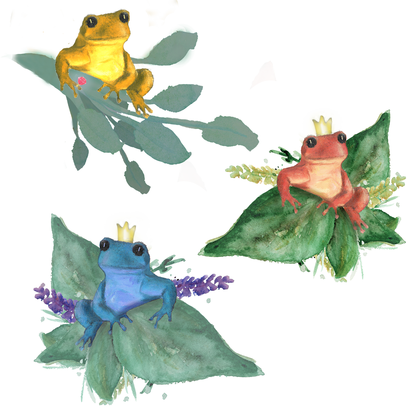 Silityskuva Sammakot yksittäinen, eri kokoja ja värejä