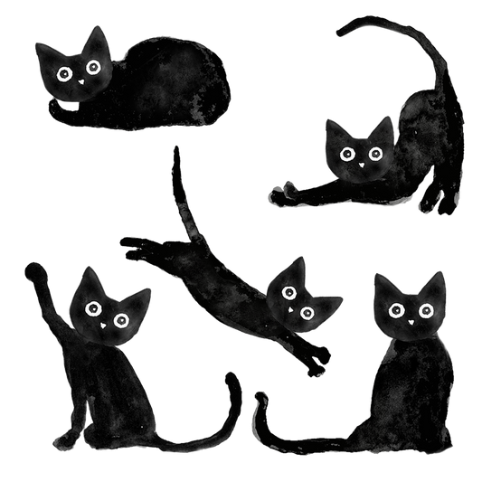 Silityskuva-arkki, Mustan kissan tango