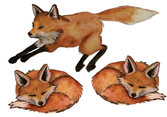 Ketut silityskuva-arkki