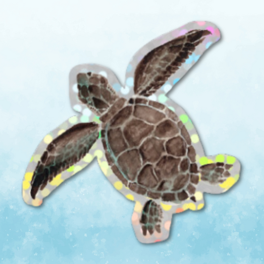 Vinyylitarra Kilpikonna