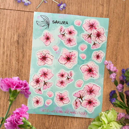 Tarra-arkki, Sakura