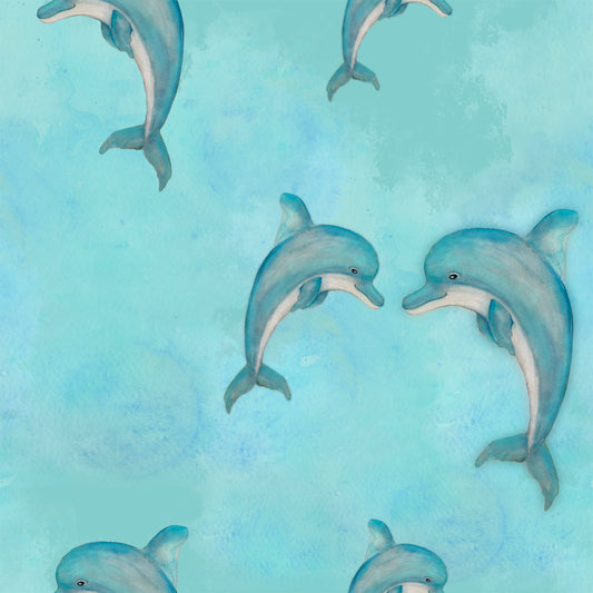 Delfiinit, joustocollege