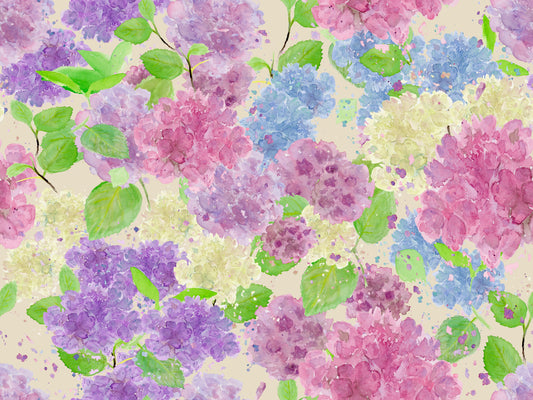 Villihortensia, joustocollege