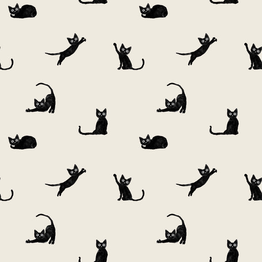 Mustan kissan tango, joustocollege