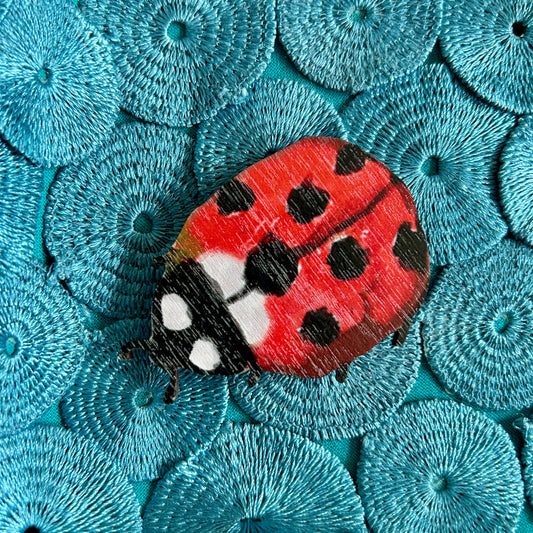 Magneetti, Leppäkerttu