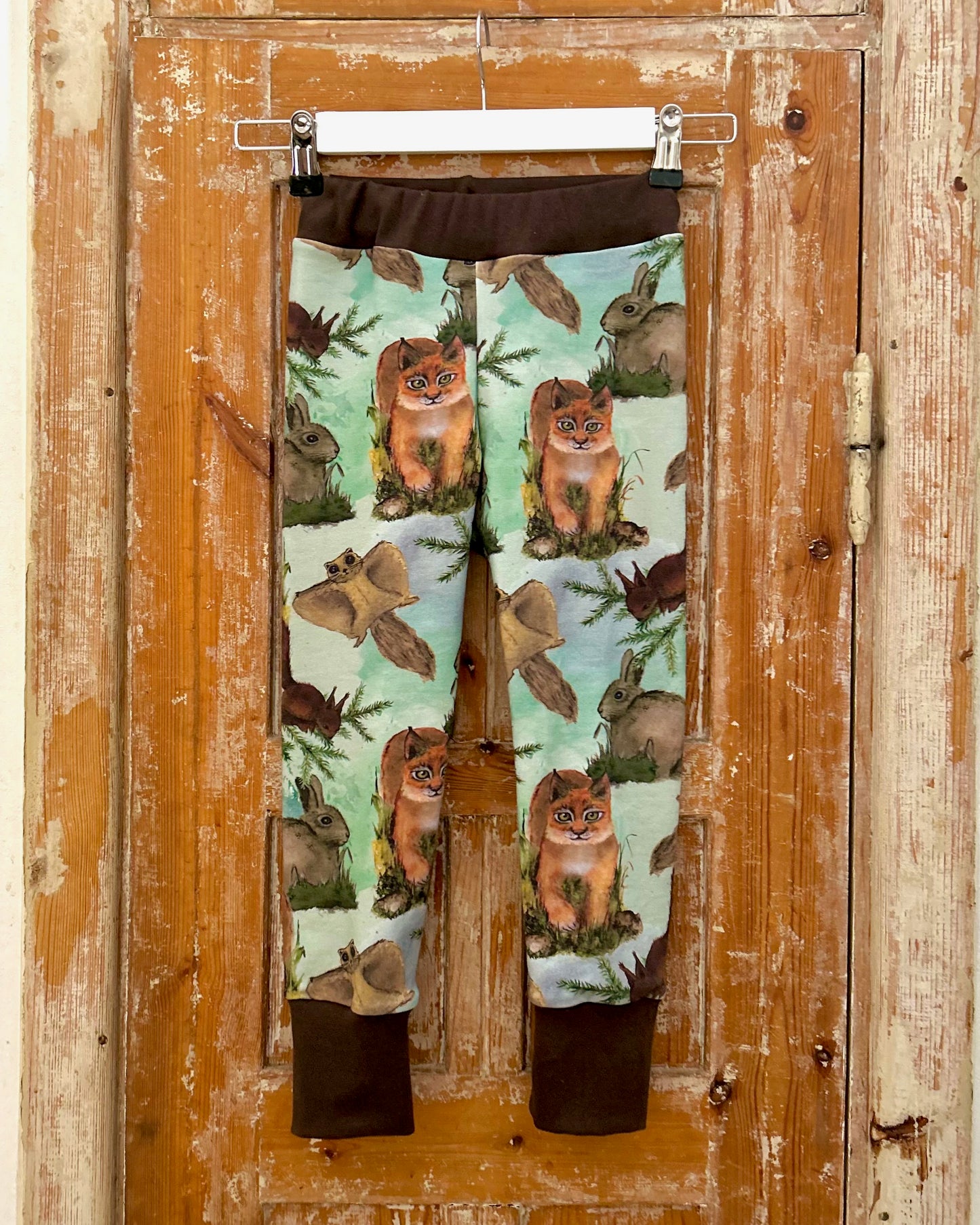 Metsän asukit, joustocollege