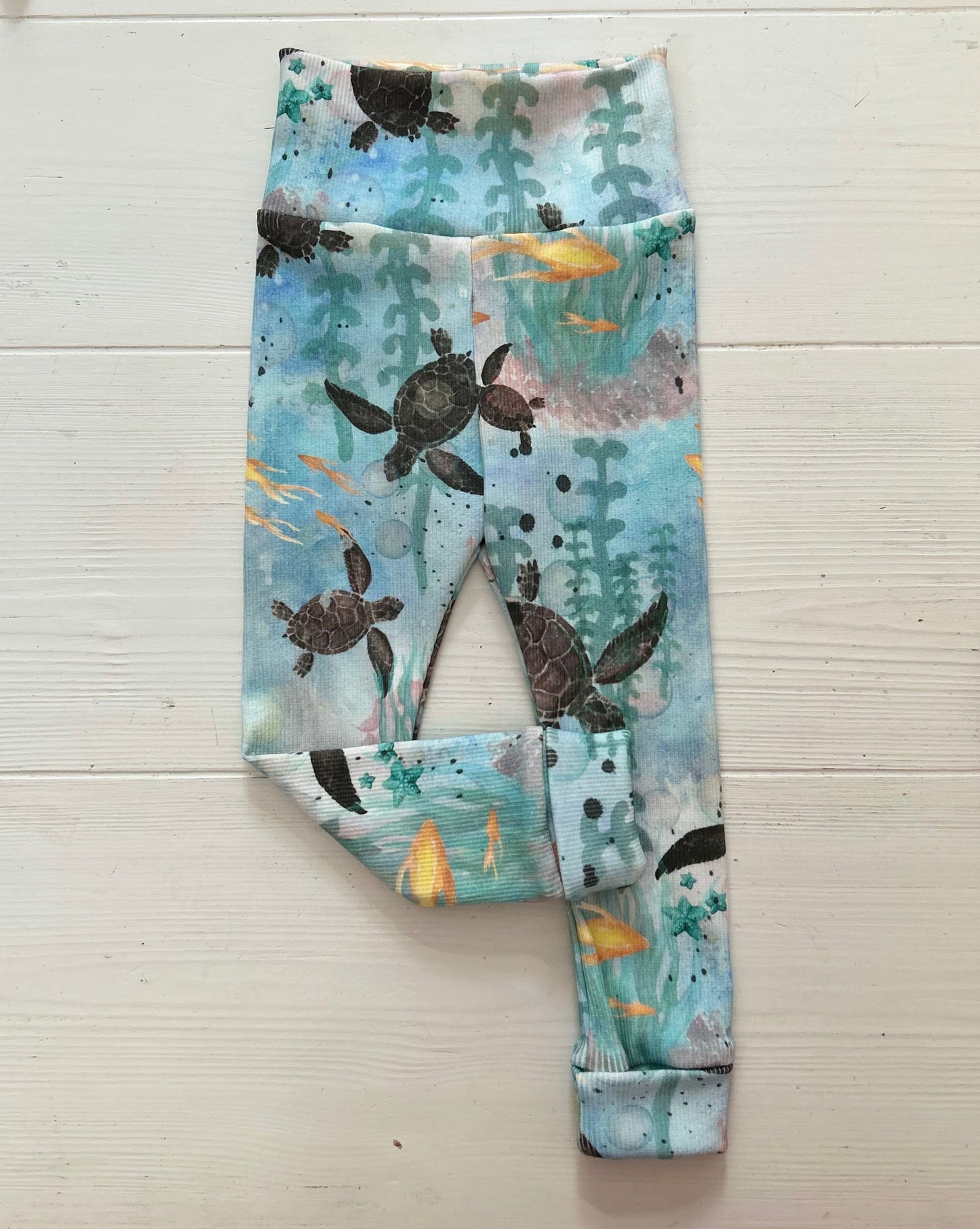 PALA Kilpikonnien matkassa 1.0, ribbitrikoo