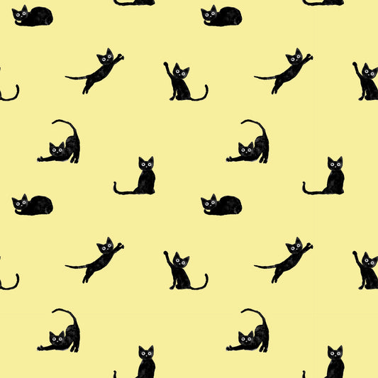 Mustan kissan tango, (sitruuna) luomutrikoo