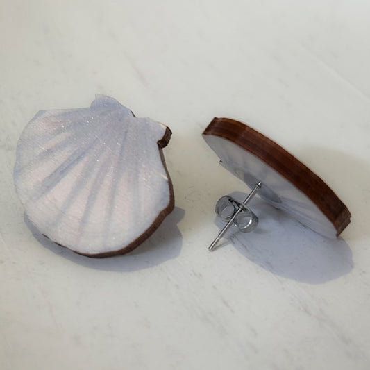 Kampasimpukat, nappikorvakoru