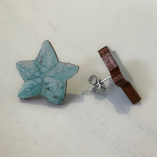 Pikkumeritähti, nappikorvakoru