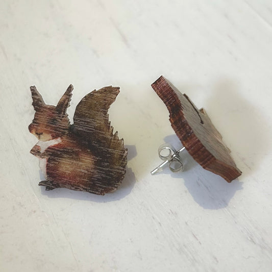 Oravat, nappikorvakoru