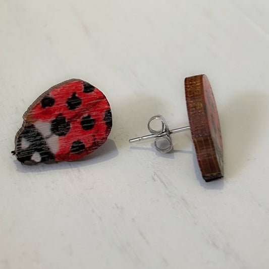 Leppäkertut, nappikorvakoru