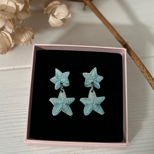 Meritähdet, nappikorvakoru