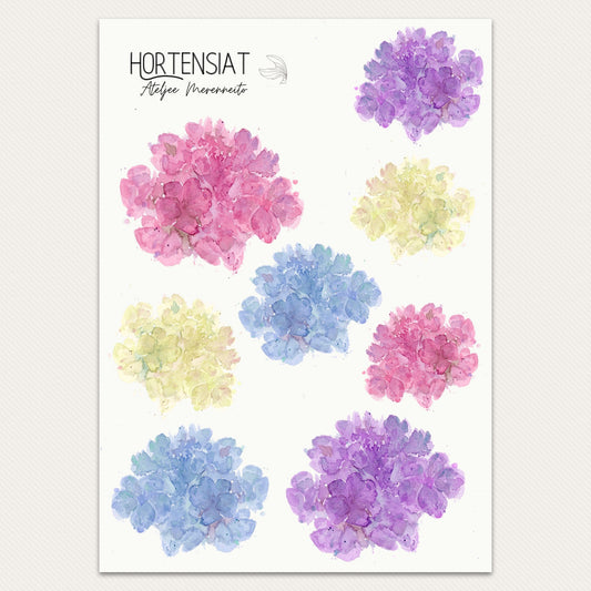 Hortensiat, tarra-arkki