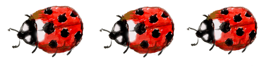 Silityskuva-arkki, Leppäkertut