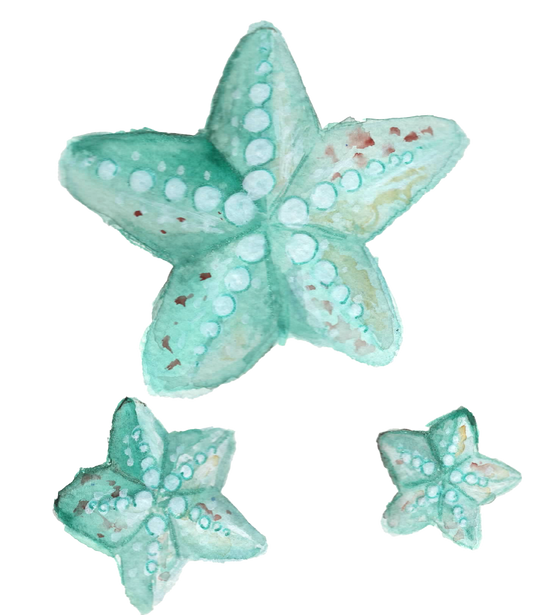 Silityskuva-arkki Meritähdet