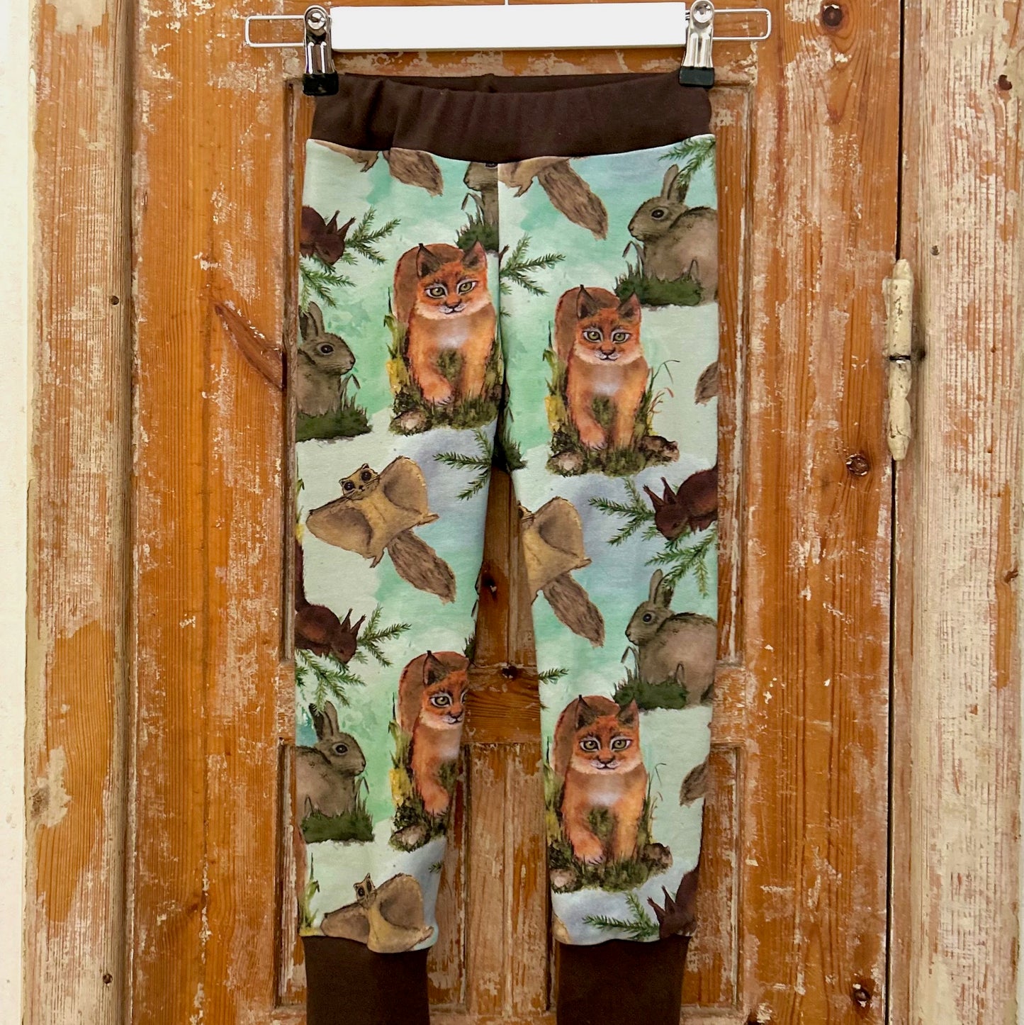 PALA Metsän asukit, joustocollege