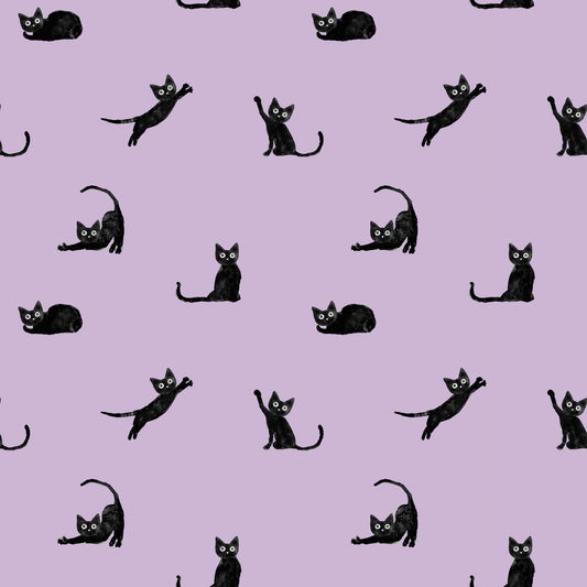 Mustan kissan tango (laventeli), ribbitrikoo