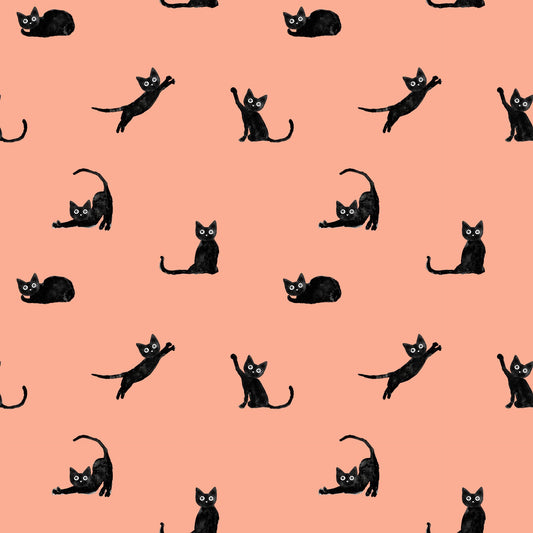 Mustan kissan tango, papaija, joustocollege