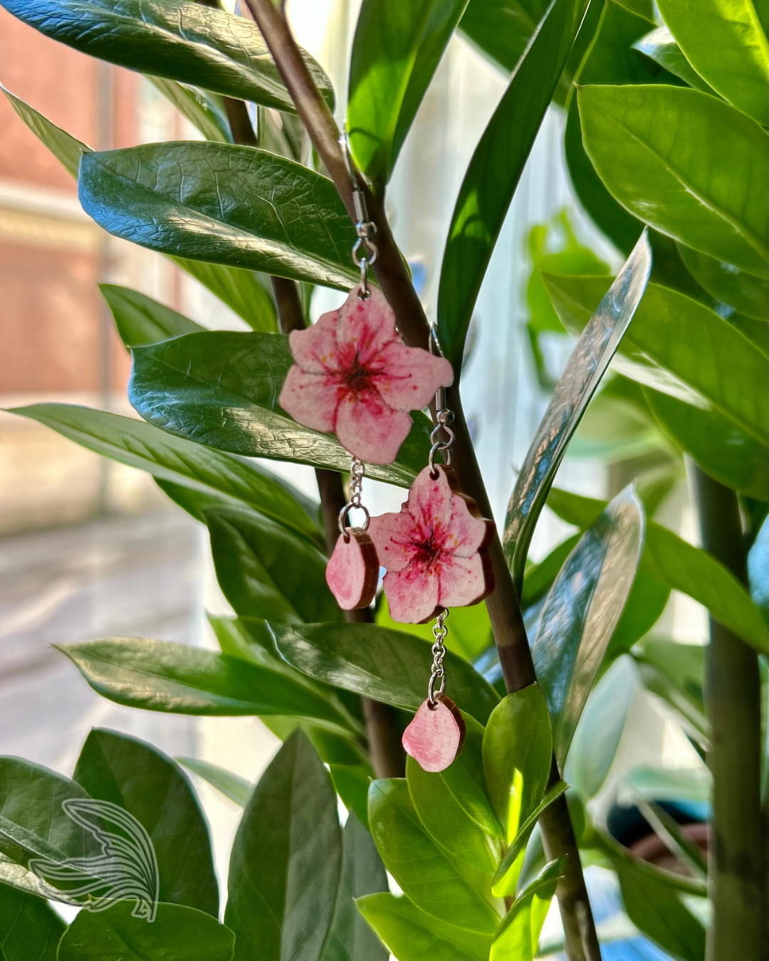 Sakura, korvakorut koukulla