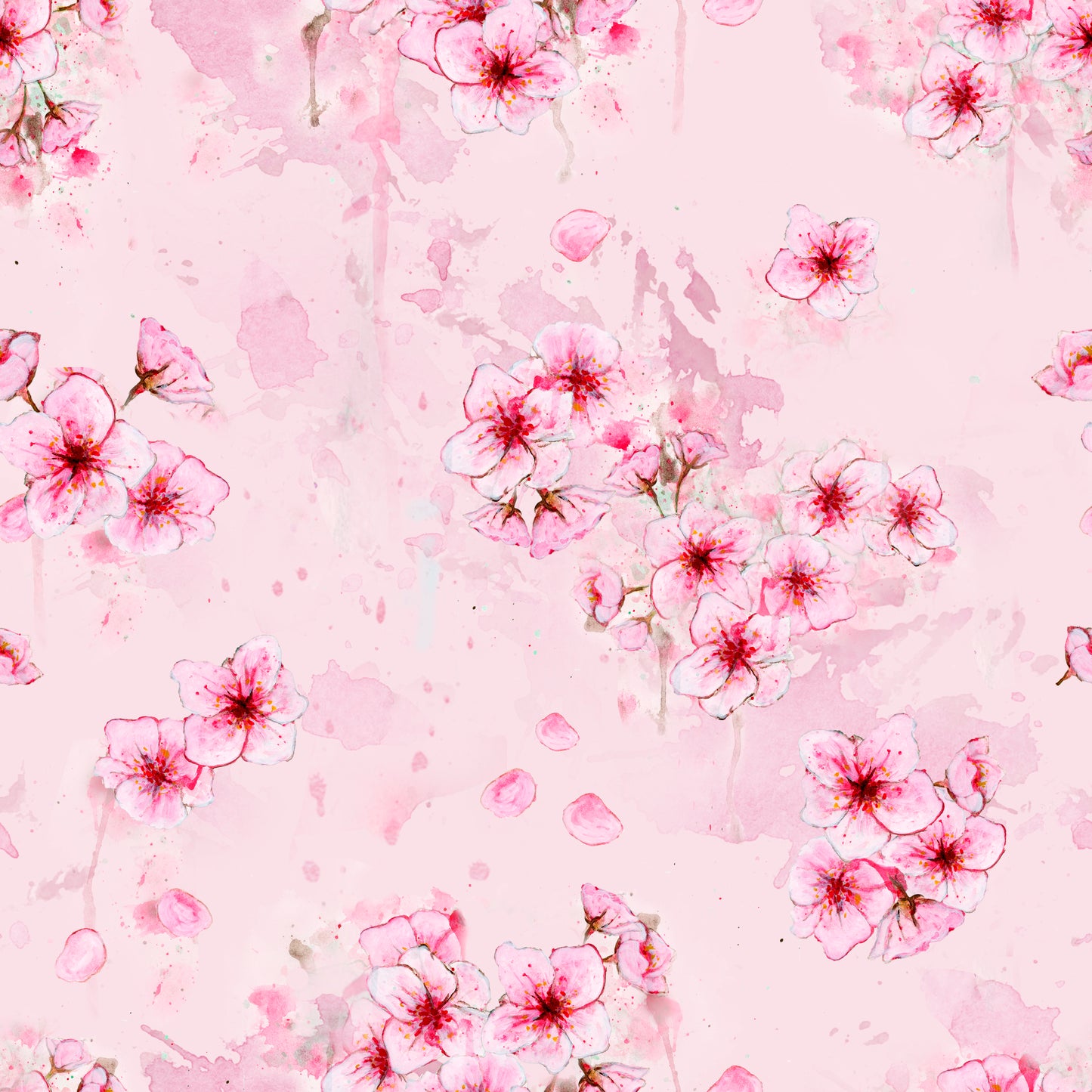 PALA Sakura, luomutrikoo