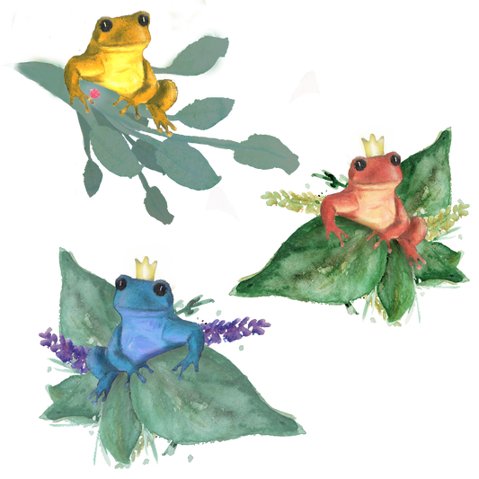 Silityskuva-arkki, Sammakot