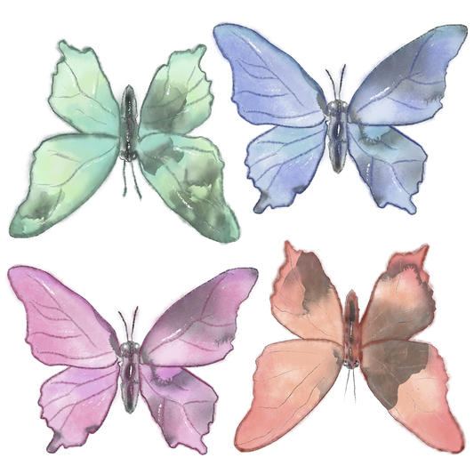 Silityskuva-arkki, Perhot