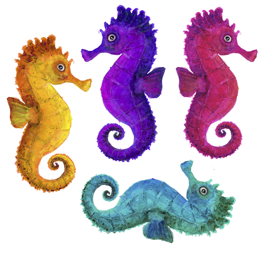 Silityskuva-arkki, Merihevoset