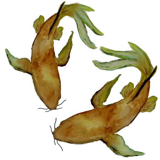 Silityskuva-arkki Karpit