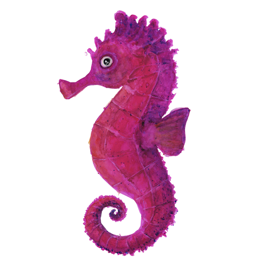 Iso merihevonen, 4 väriä